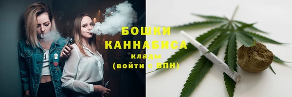 PSILOCYBIN Няндома