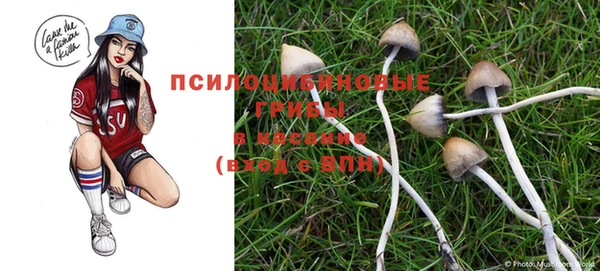 ECSTASY Новодвинск