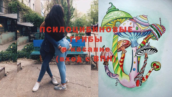 хмурый Нефтекумск