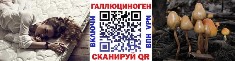 Псилоцибиновые грибы Psilocybe Покровск